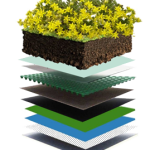 گیاهان درخچه ای